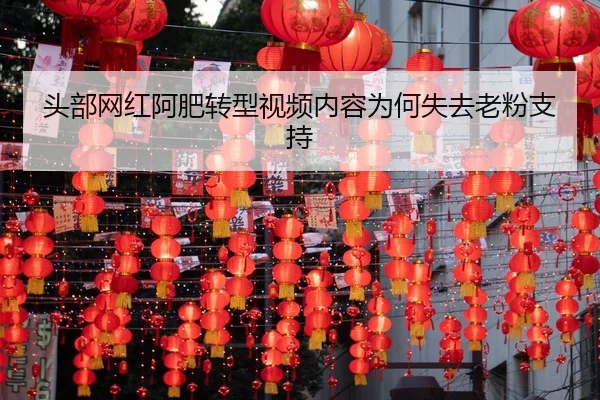 tou-bu-wang-hong-a-fei-zhuan-xing-shi-pin-nei-rong-wei-he-shi-qu-lao-fen-zhi-chi-2-223.jpg